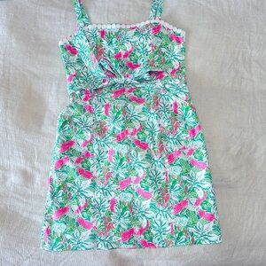 Lilly Kensington stretch Cotton Dress